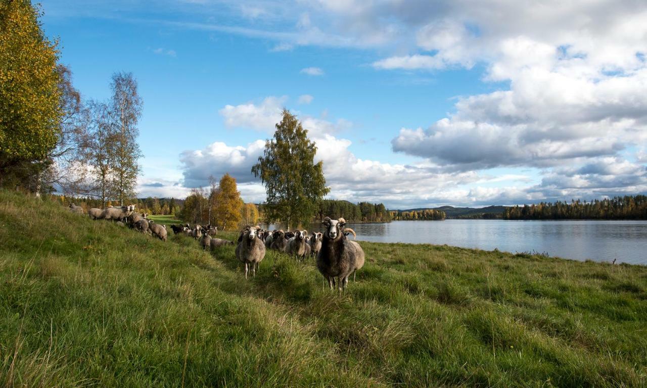 Torpet i Sjö Villa Nyland  Exteriör bild