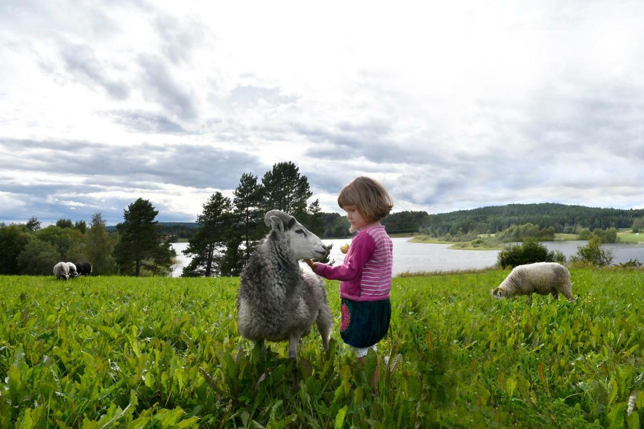 Torpet i Sjö Villa Nyland  Exteriör bild