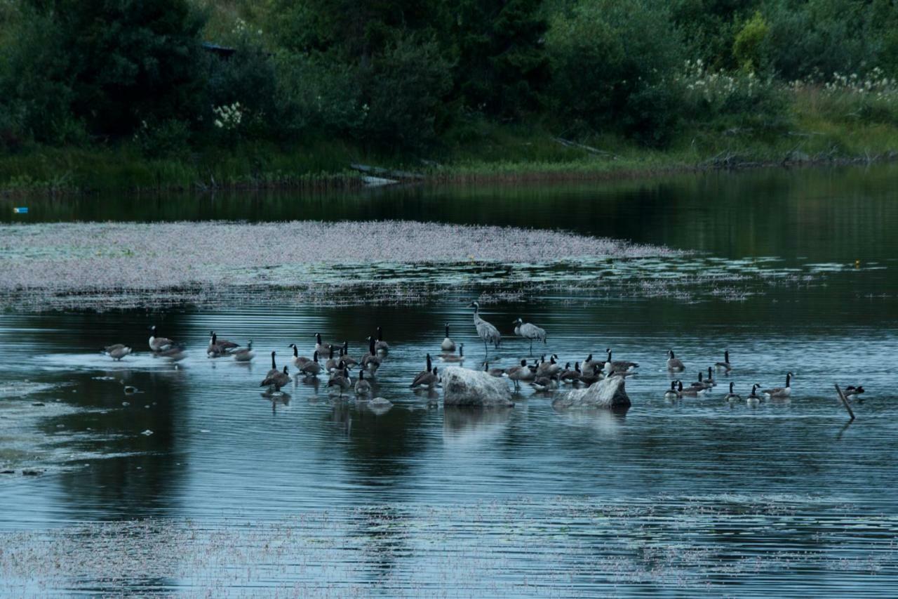 Torpet i Sjö Villa Nyland  Exteriör bild